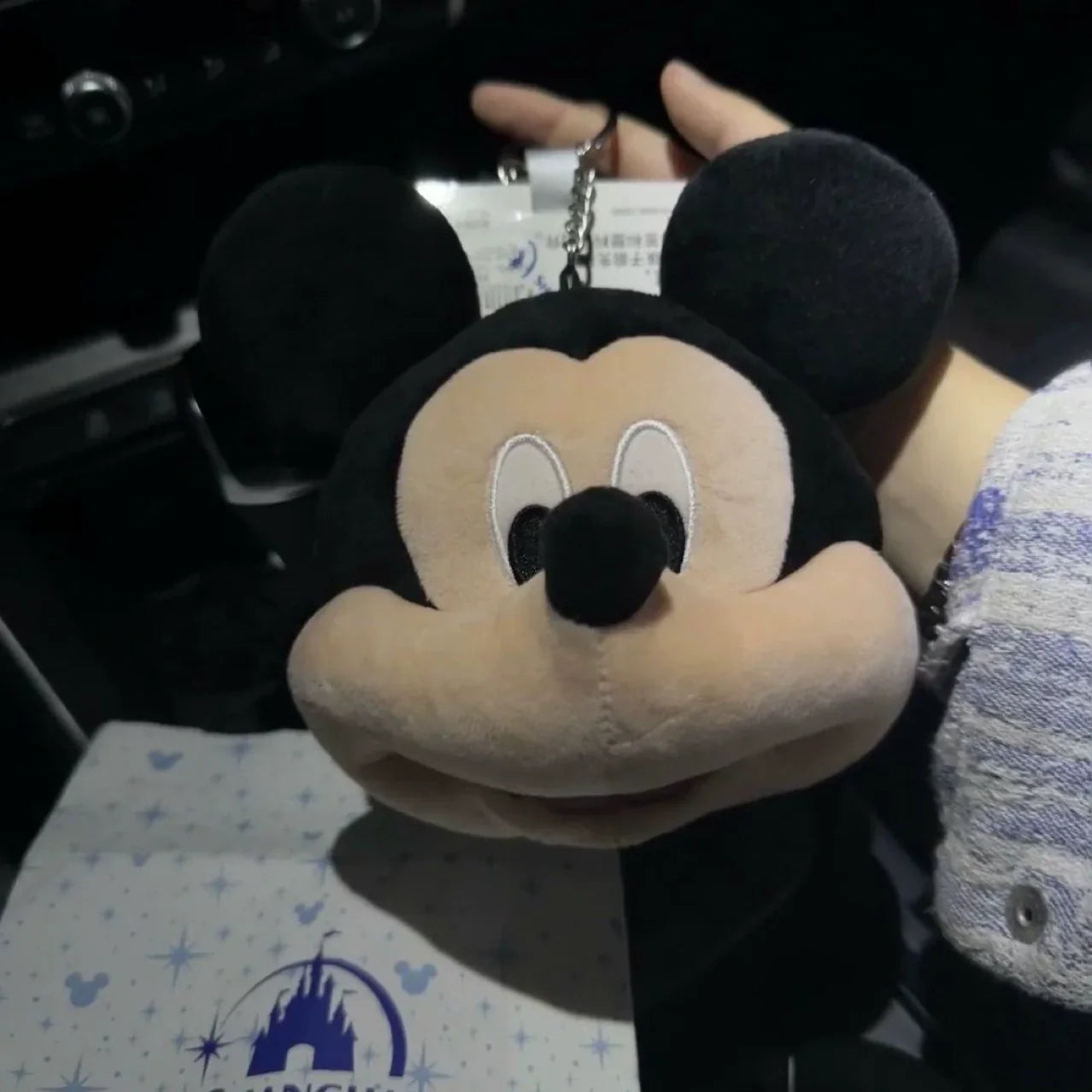 Big Head Mickey Plush Coin Purse