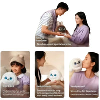 Ropet Interactive AI Companion Robot