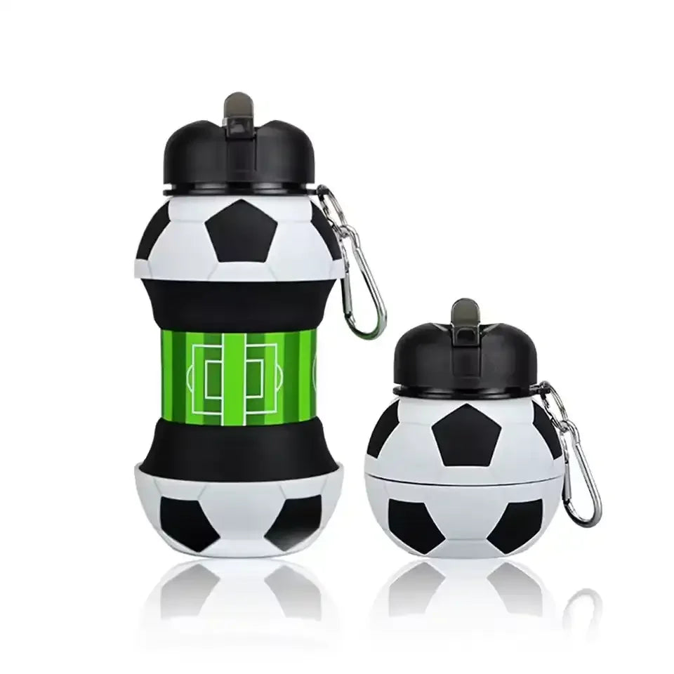 Collapsible Sports Folding Bottle (550 ml)