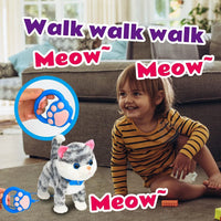 Interactive Musical Kitty with Leash Remote - Bear Hugs