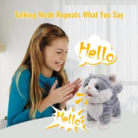 Interactive Musical Kitty with Leash Remote - Bear Hugs