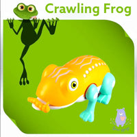 Jump and Crawl Frog - Bear Hugs