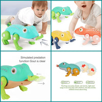 Jump and Crawl Frog - Bear Hugs