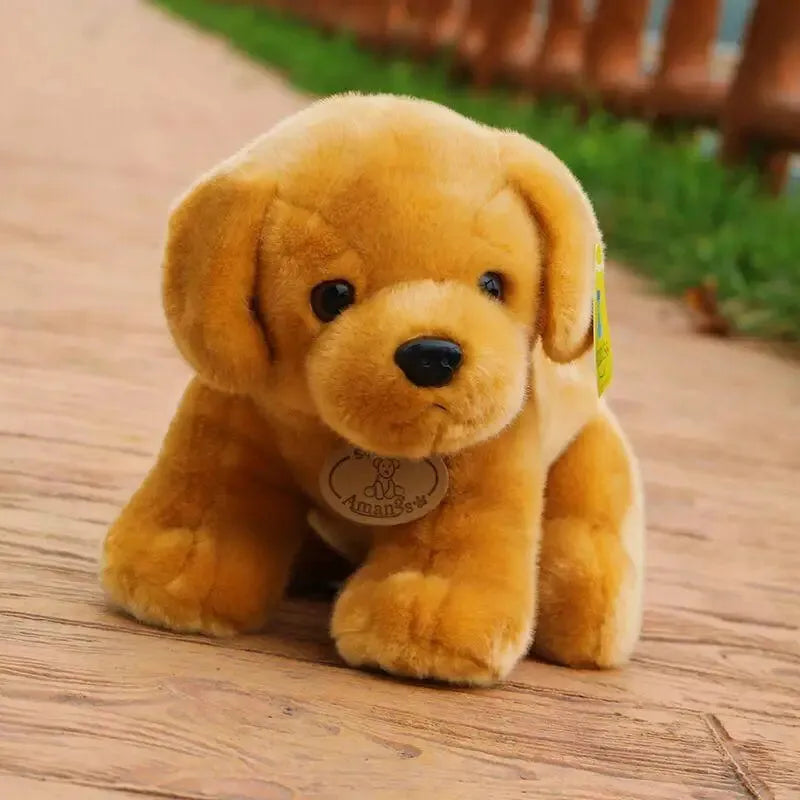 Adorable Corgi and Labrador Plushies (30 cm)