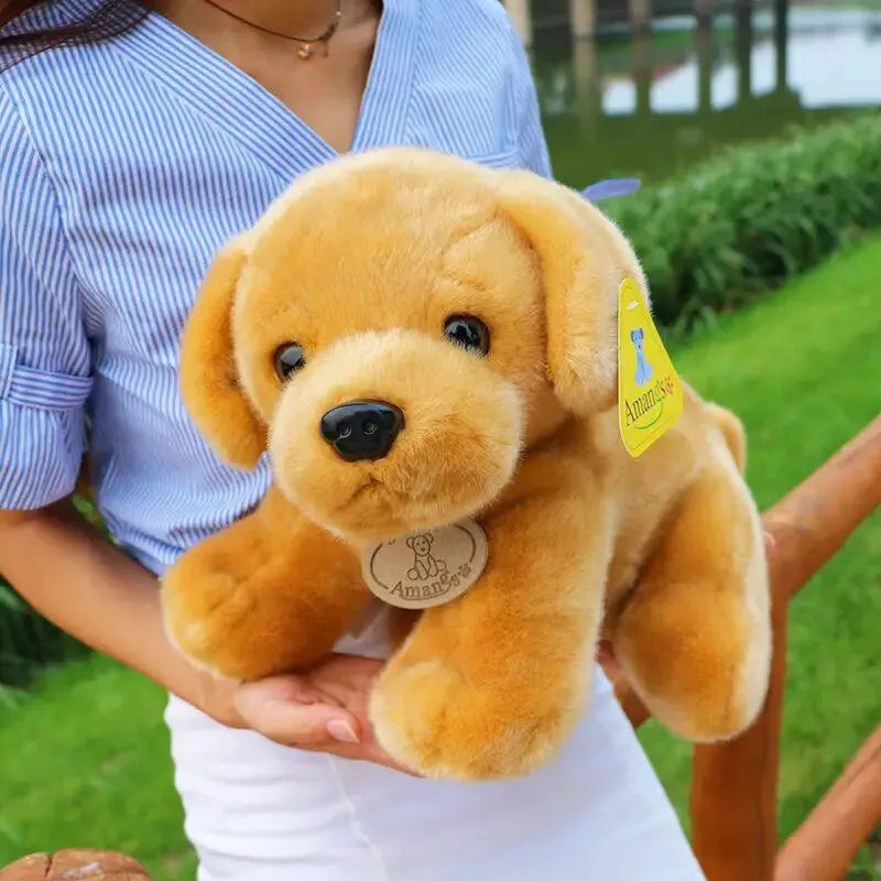 Adorable Corgi and Labrador Plushies (30 cm)