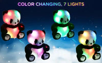 Light Up Panda Plush Toy - Bear Hugs