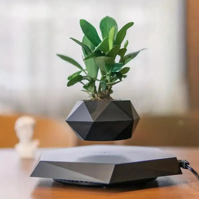 Magnetic Levitating Mini Rotating Flower Pot - Bear Hugs