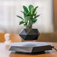 Magnetic Levitating Mini Rotating Flower Pot - Bear Hugs