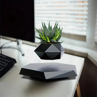 Magnetic Levitating Mini Rotating Flower Pot - Bear Hugs