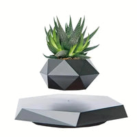 Magnetic Levitating Mini Rotating Flower Pot - Bear Hugs