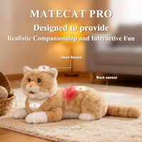 Chongker Matecat Pro Interactive Cat Companion
