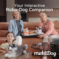 metaDog: Lifelike AI-Enabled Pet - Bear Hugs