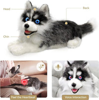 metaDog: Lifelike AI-Enabled Pet - Bear Hugs