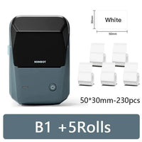 Niimbot B21 Portable Inkless Thermal Printer - Bear Hugs