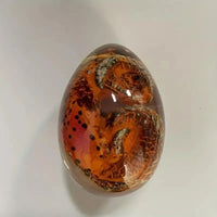 Real Looking Enchanted Dragon Egg - Bear Hugs