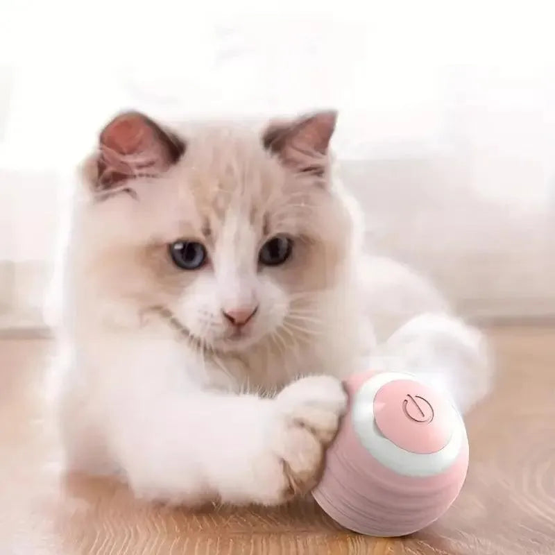 Self-Rotating Interactive Cat Toy Ball - Bear Hugs