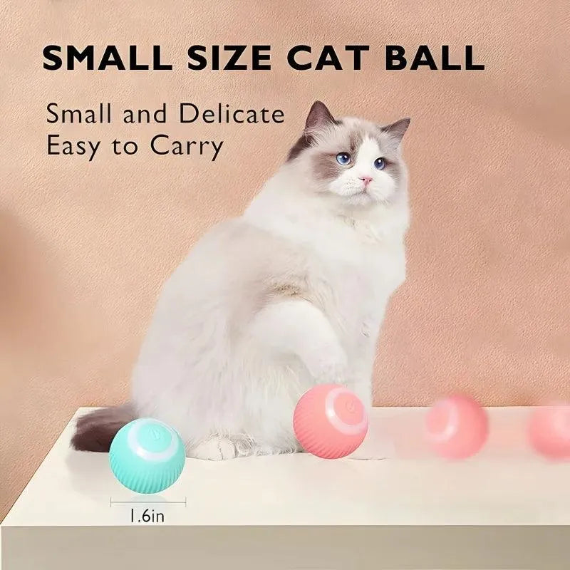 Self-Rotating Interactive Cat Toy Ball - Bear Hugs