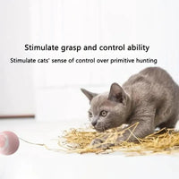 Self-Rotating Interactive Cat Toy Ball - Bear Hugs