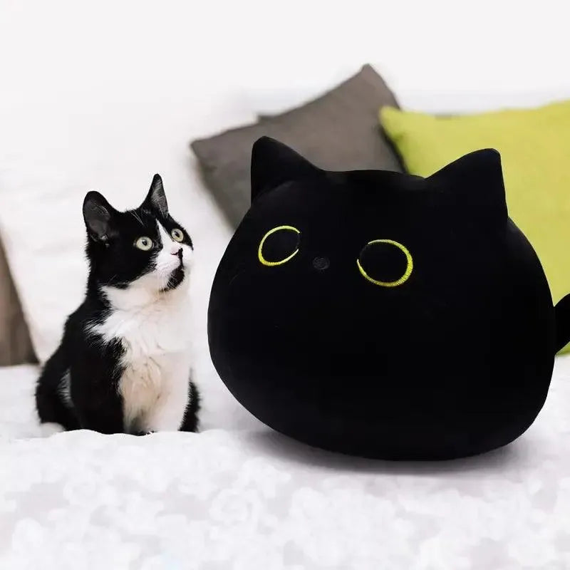 Spooky Cute Cat Pillow Plushies - Bear Hugs