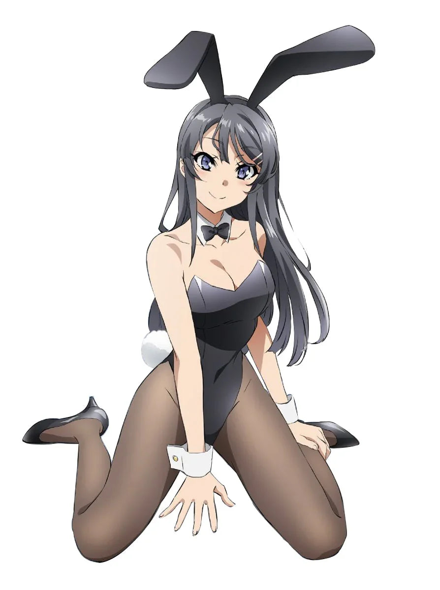 Suited Up Bunny Outfit (Mai Sakurajima) - Bear Hugs