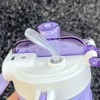 Sanrio 2 in 1 Spout & Straw Steel Bottle (430 ml)