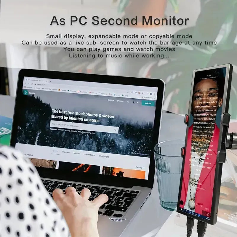 Lesown 8.8-Inch Secondary Screen Monitor