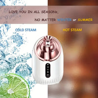 Shiny Rosy Nano Facial Steamer