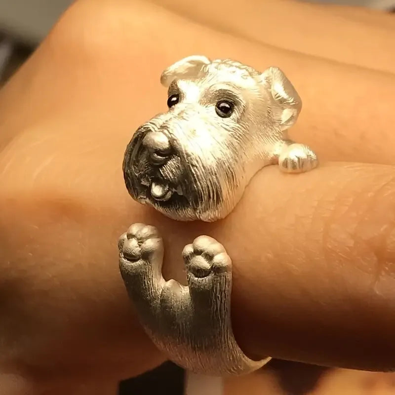 Silver Schnauzer Puppy Open Ring