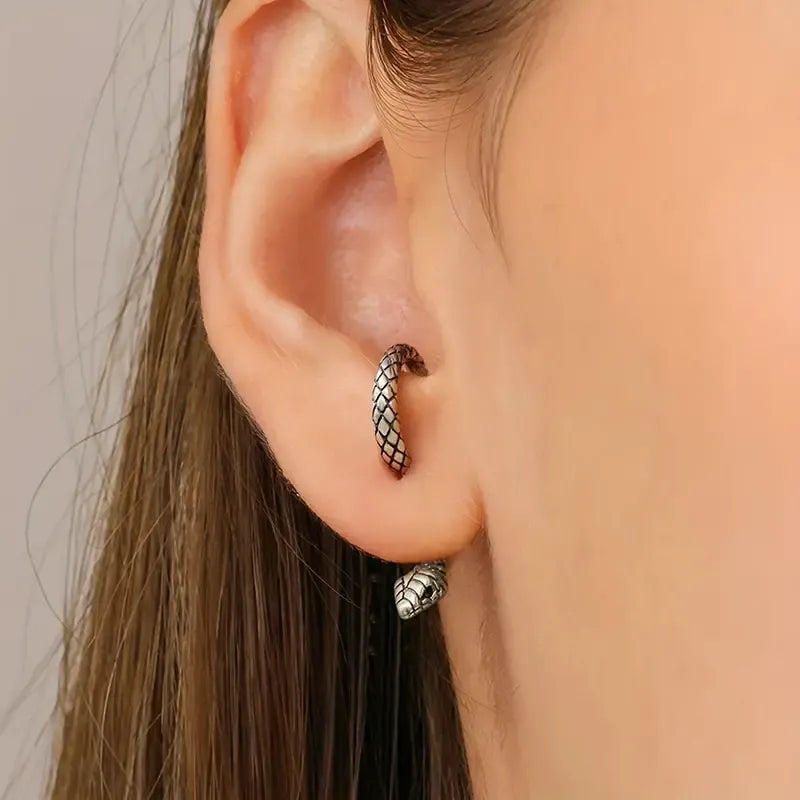 Fashionable Curvy Snake Earrings