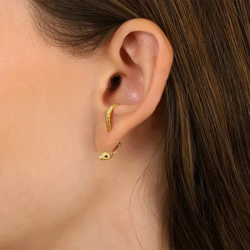 Fashionable Curvy Snake Earrings