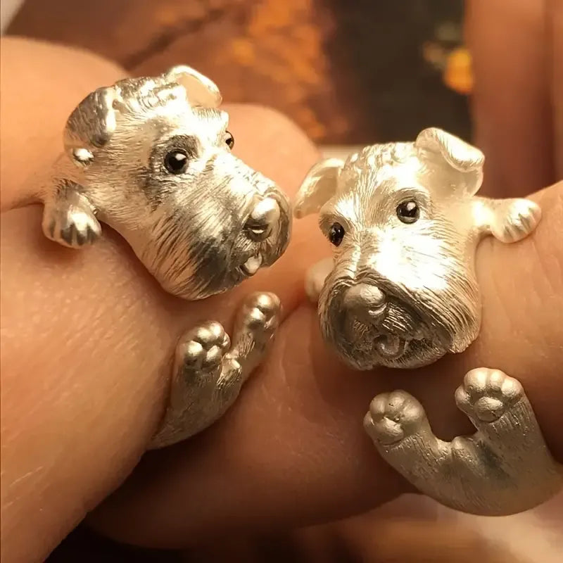 Silver Schnauzer Puppy Open Ring