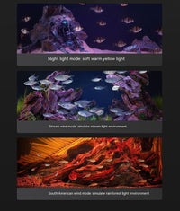 Xiaomi Mijia Smart Fish Tank MYG100 Work With Mijia APP Mobile controlled remote feeding Smart Lighting System Light Aquarium - Bear Hugs